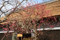 古民家公園の門