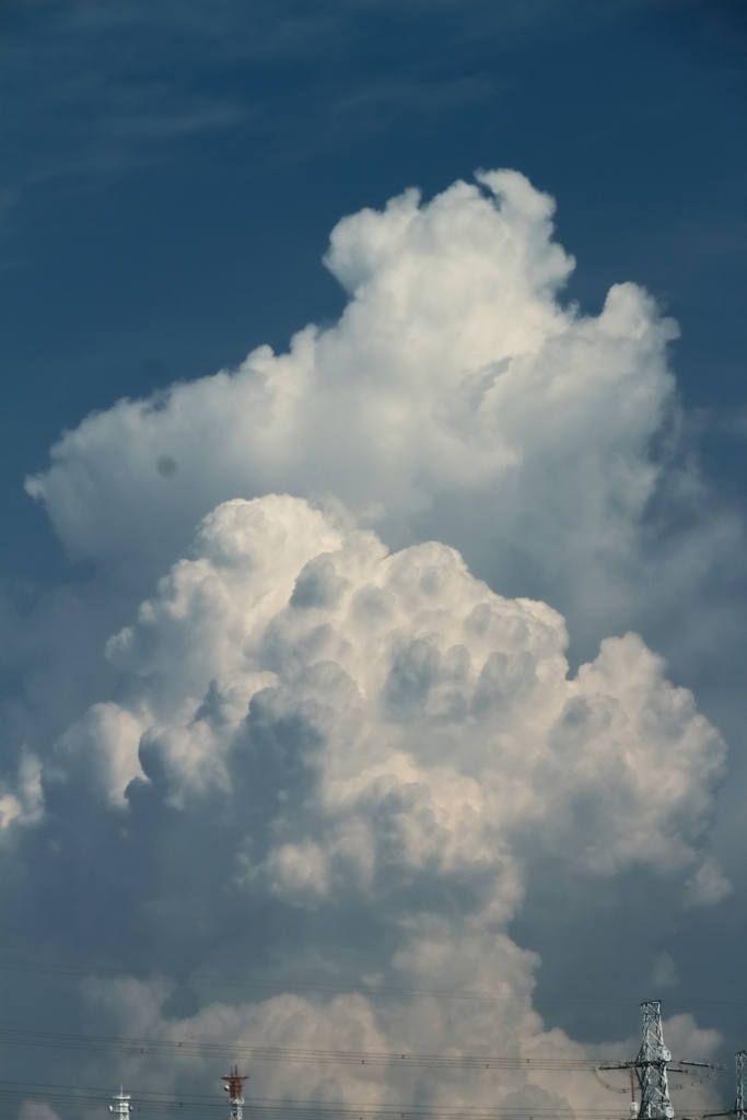 夏雲の顔４