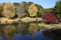 称名寺秋景