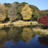称名寺秋景