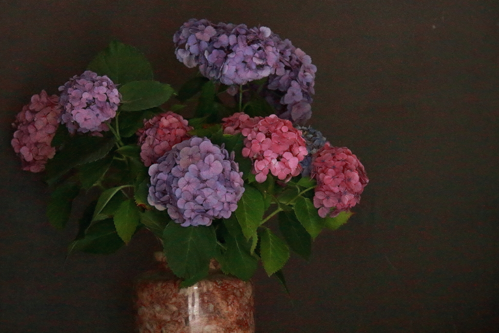 あじさいを活ける