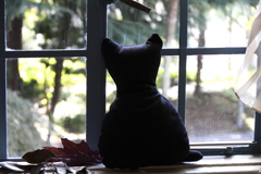 外を眺めるハロウィン猫（ぬいぐるみ）