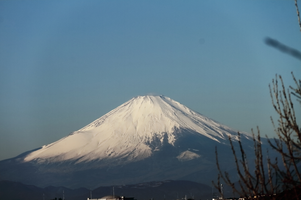 冬晴れ富士２