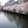 両岸の春