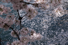 みなもを染める２