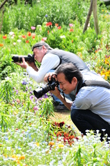 ベストショット