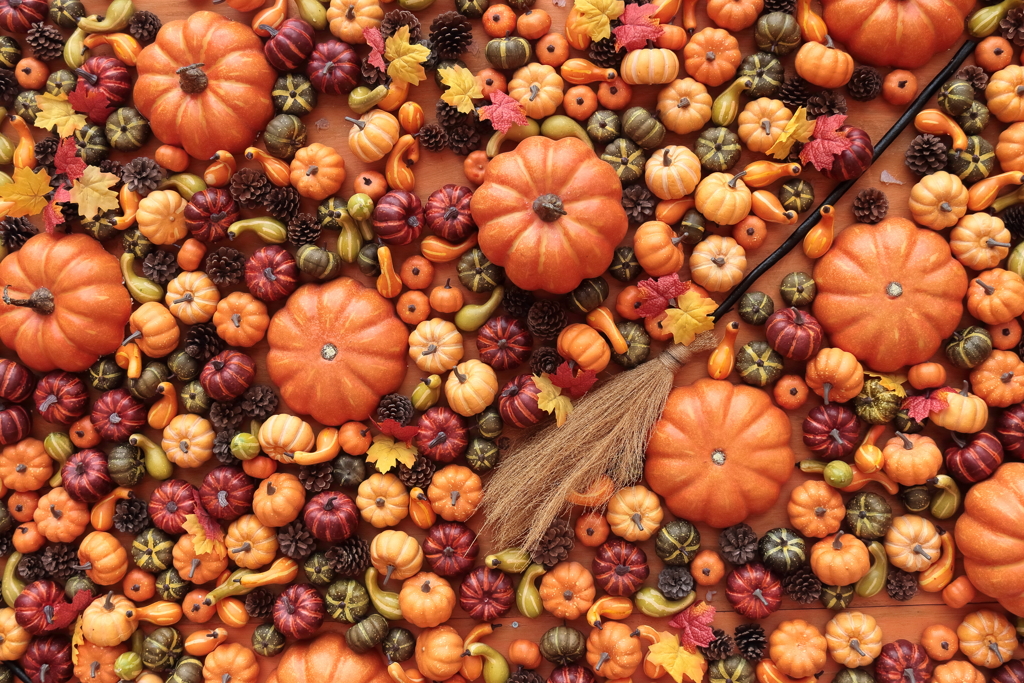 遅れてハロウィン１