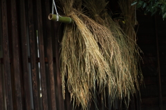 軒下のはざ架け