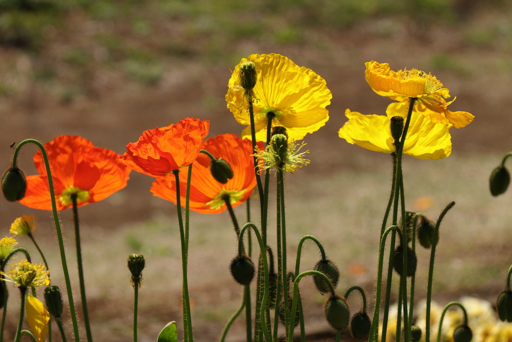 穏やかなひととき