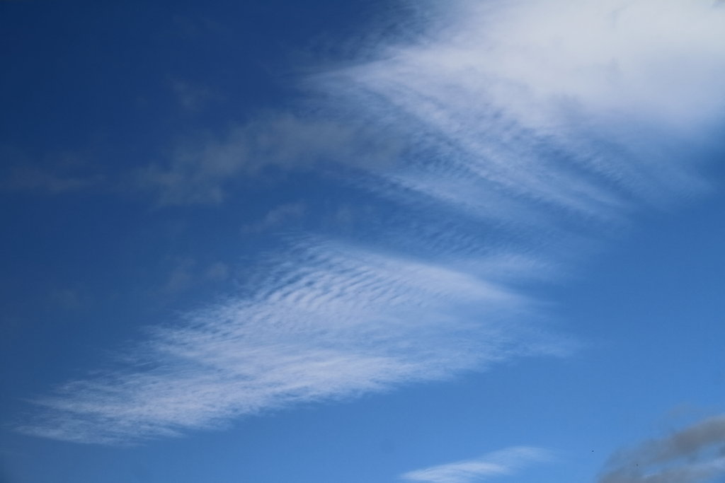 久々に上層の雲