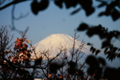 雄姿富士山２
