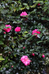 十字架に見守られて