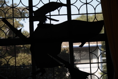 窓辺を飛ぶ魔女