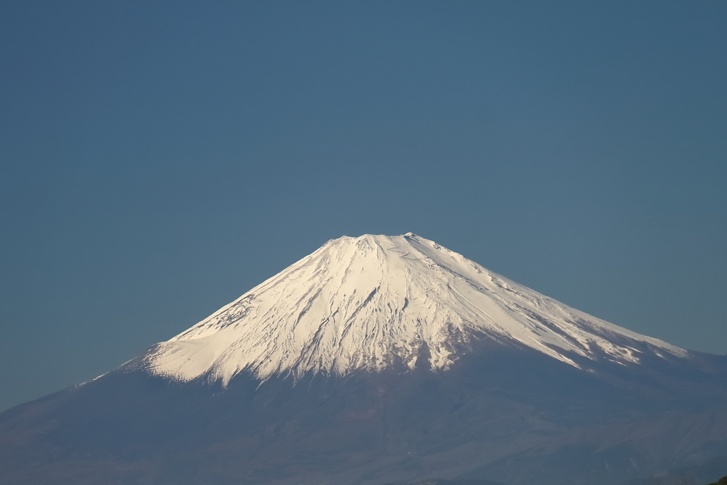 今年初の雄姿２