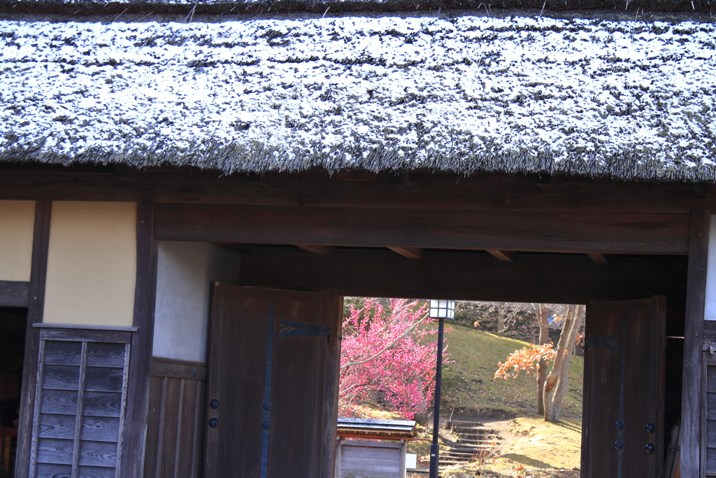 門の向こうは春