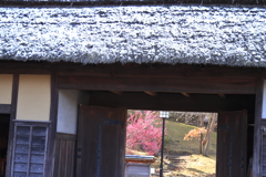 門の向こうは春