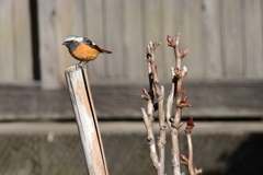 ここは指定席３