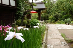 山門をくぐって