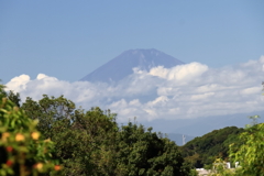 名残の夏富士