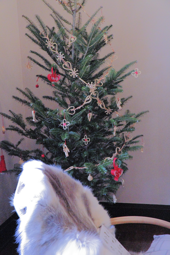 横浜山手西洋館のクリスマス14