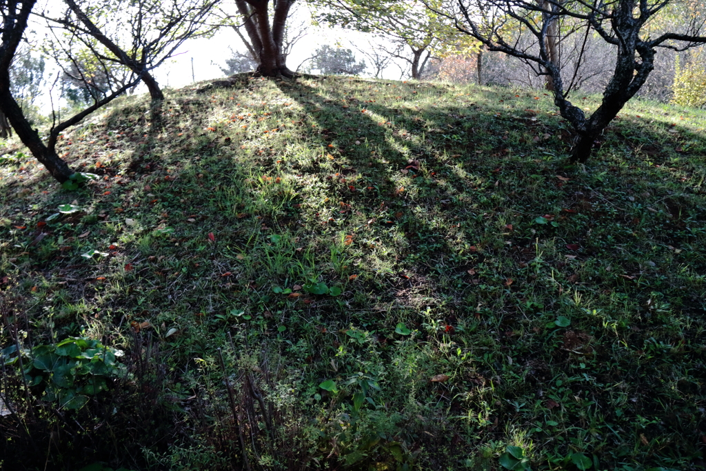 秋の朝影長くして