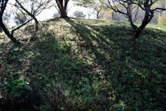 秋の朝影長くして