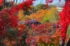 秋色に埋もれて３