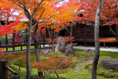 建仁寺錦秋１
