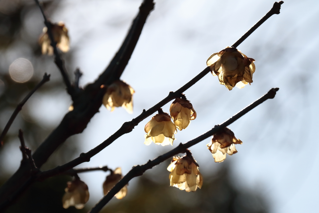 間もなく交代３