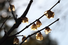 間もなく交代３