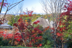 秋色に埋もれて１