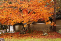 建仁寺錦秋２