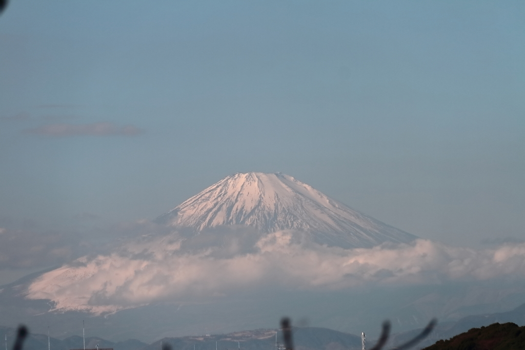 仕事始めの日
