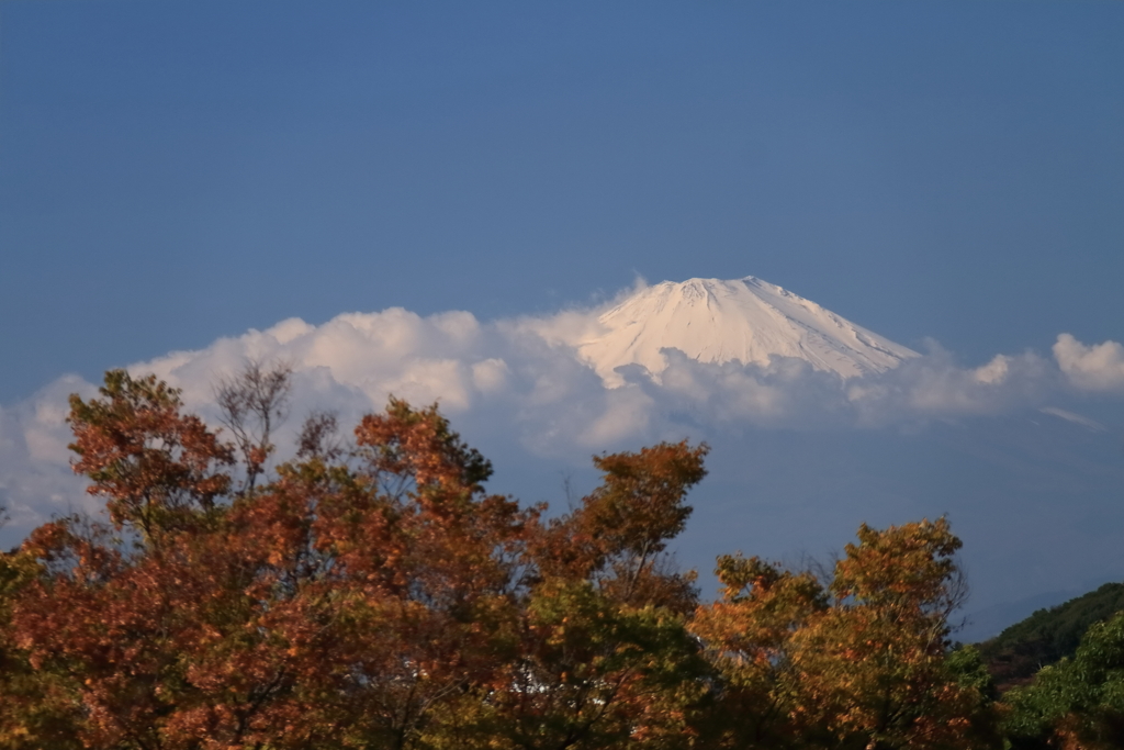 富士山遠景２