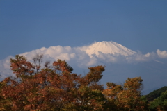 富士山遠景２