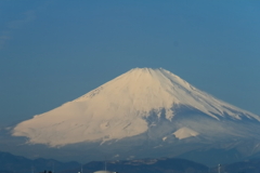 雄姿1