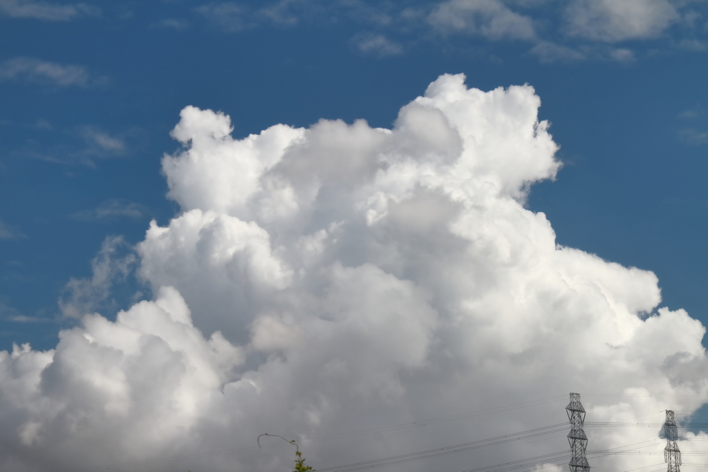夏雲健在１