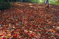 秋のモザイク作品1