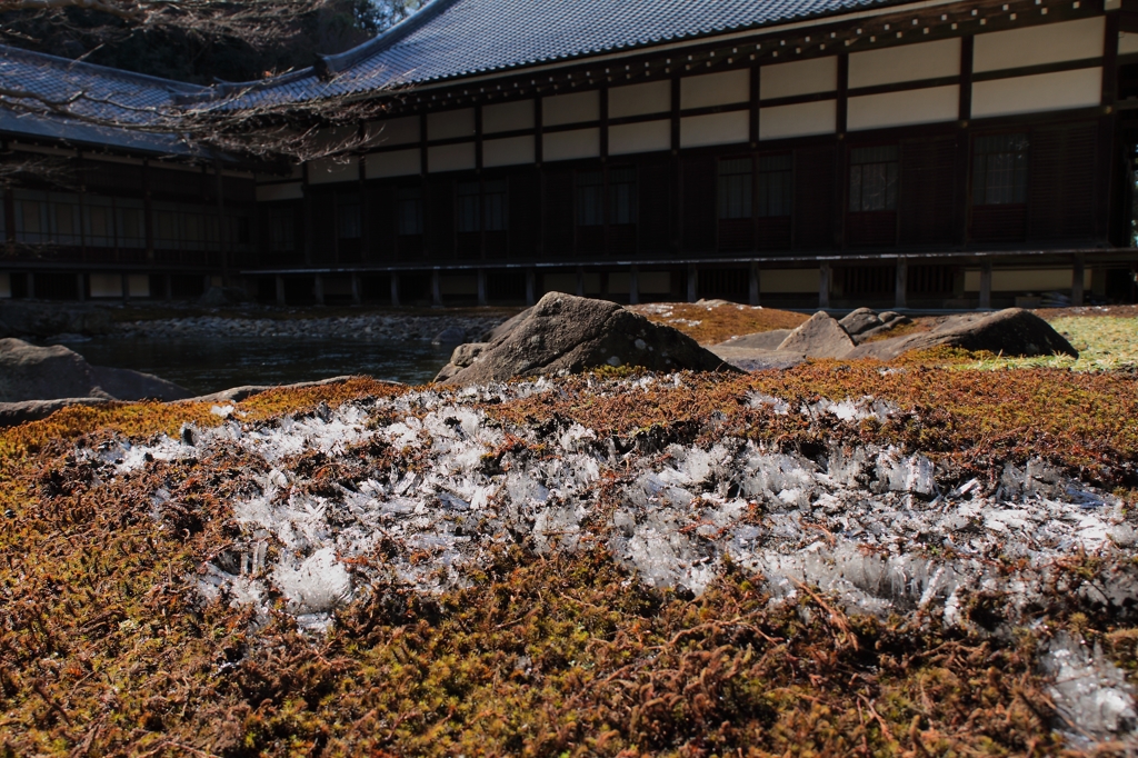陽春の氷柱