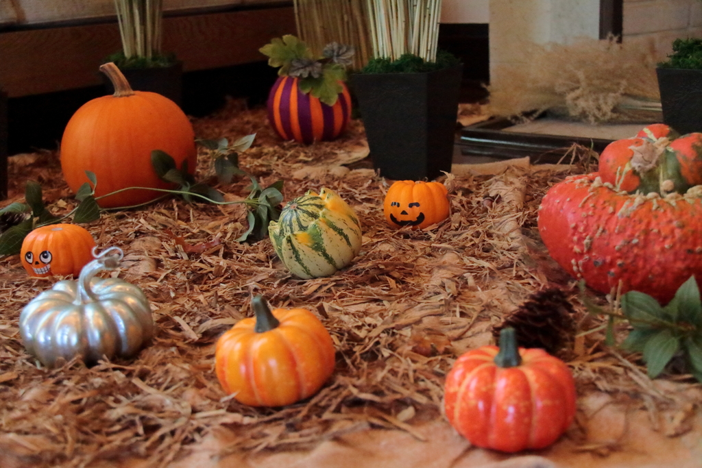 エリスマン邸のハロウィン4