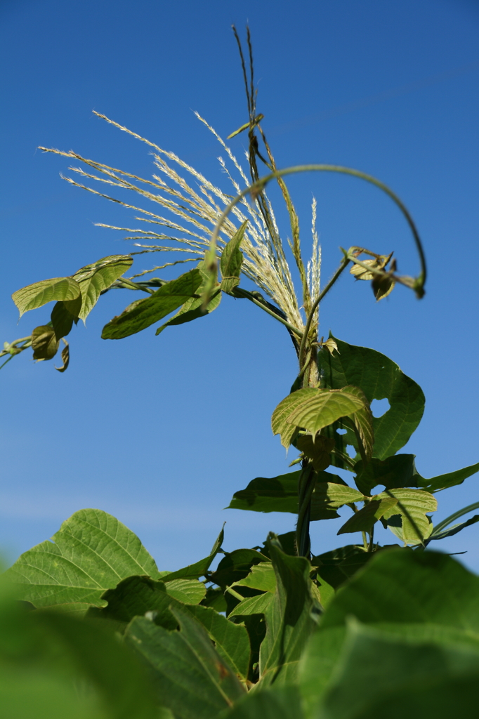 あのォ迷惑なんですけどォ