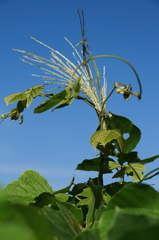 あのォ迷惑なんですけどォ