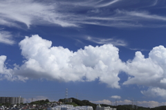 夏の雲と秋の雲
