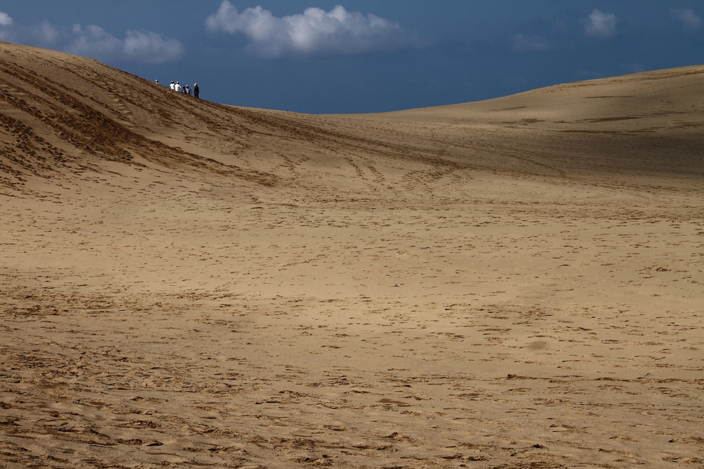砂丘に集う
