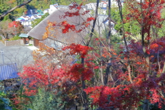 秋色に埋もれて２