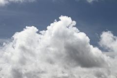 夏雲