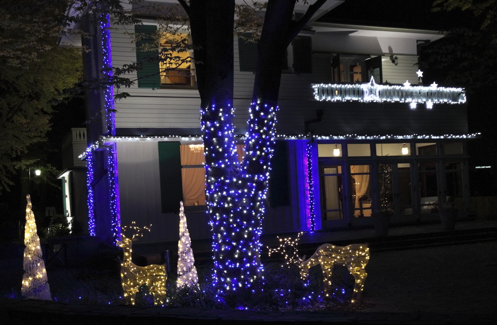 クリスマスを飾る３