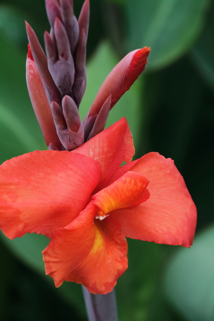 夏の陽を待つ３