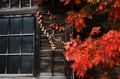秋・窓辺