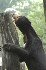 動物園にて３